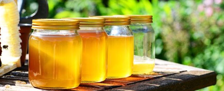 Bee Honey Purification
