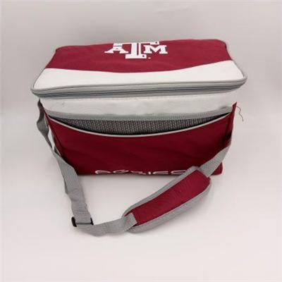 Polyester 6-CAN Cooler Bag