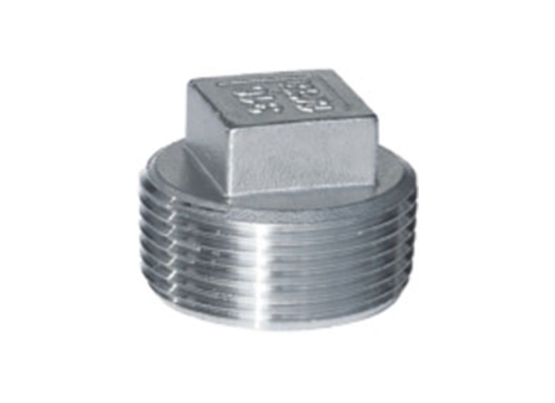SQUARE PLUG  Threaded Fitting   Stainless Steel Square Plug China