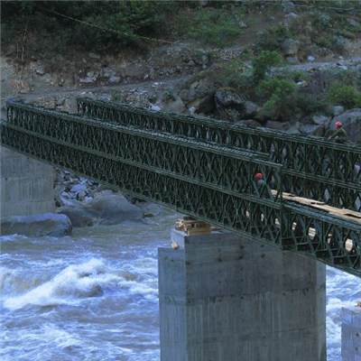 Steel Frame Bridge