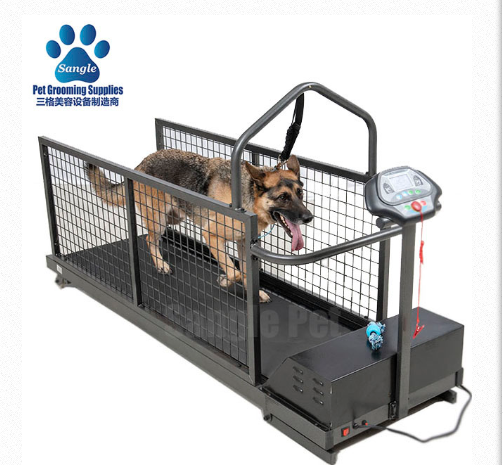 Canine Land Treadmill,Canine Treadmill,Dog Treadmill,Treadmills