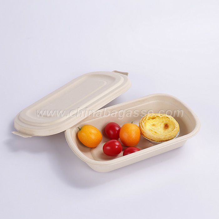 Eco Friendly 750ml Disposable Bagasse Container
