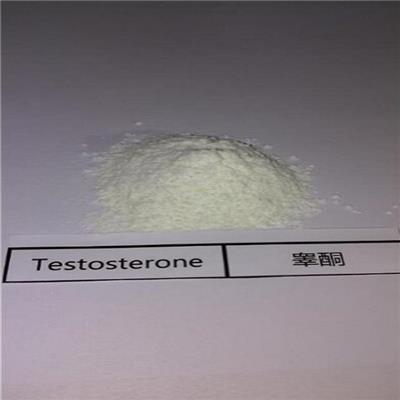 Testosterone Powder Cas 58-22-0
