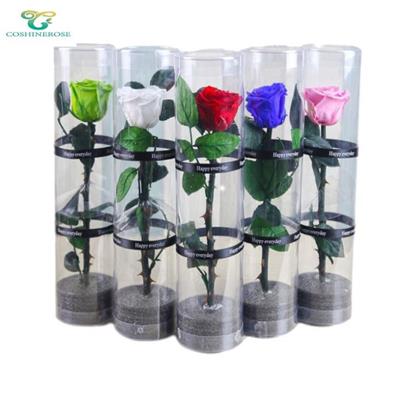 Preserved Roses With Stems
