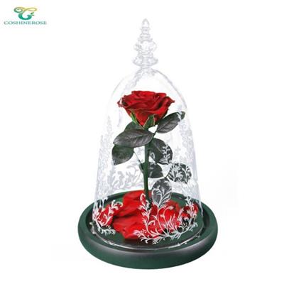 Beauty And The Beast Preserved Rose