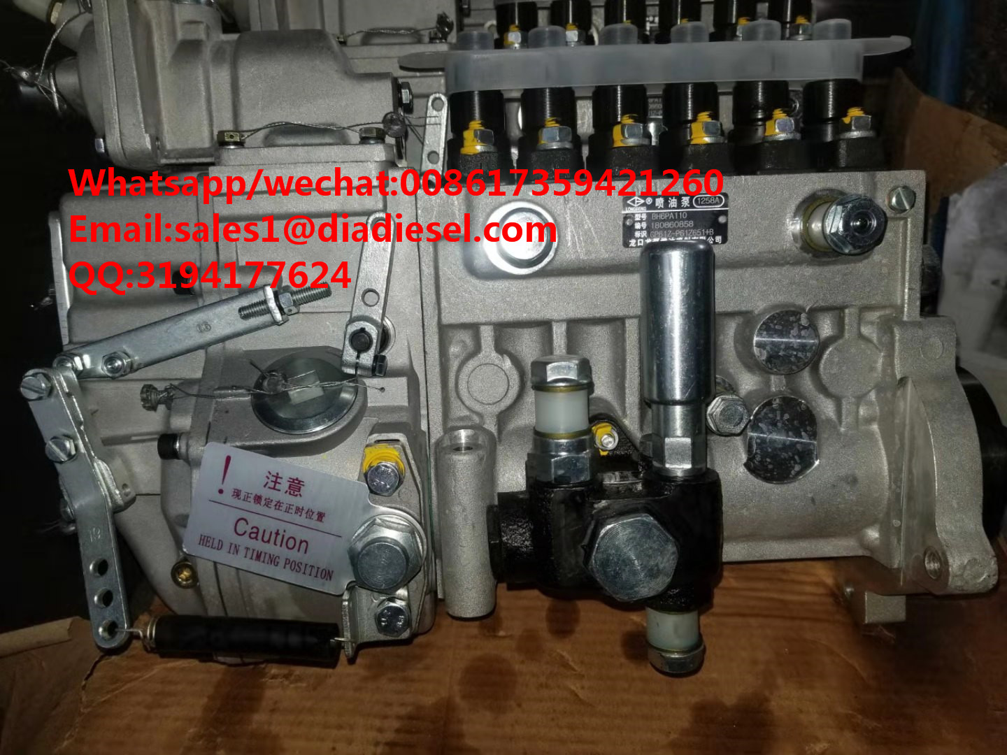 High quality Diesel LONGBENG fuel injection pump BH6PA110 for sale