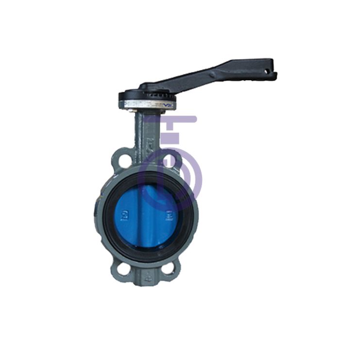  butterfly Valve with Painting CBF02-TA07