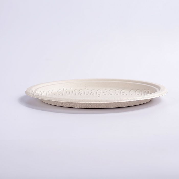 Biodegradable disposable compostable sugarcane bagasse round plates in 10 inch 