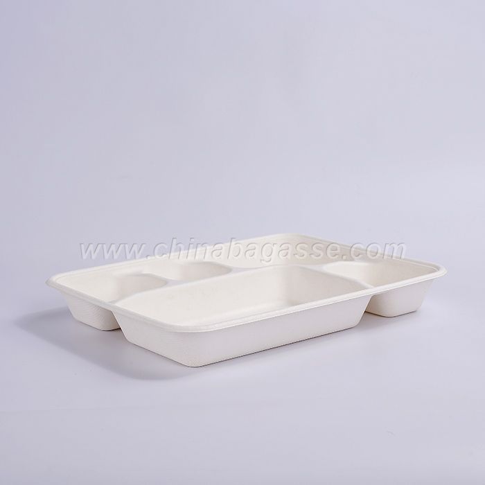 Biodegradable Disposable Deep Tray with Lid Sugarcane School Lunch Tray