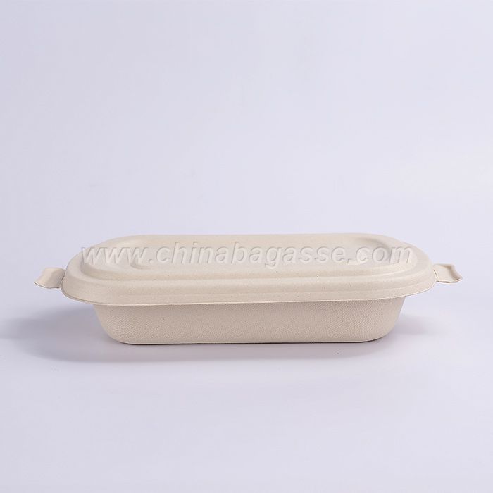 750ml Eco-Friendly Bagasse Pulp Food Container bowls Disposable Biodegradable compostable Sugarcane paper pulp Bowl