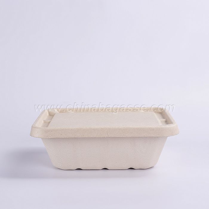 sugarcane take away fast food container with Lid 
