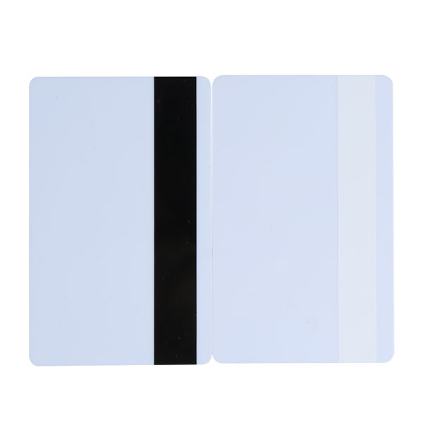 Blank Plastic Cards/2019