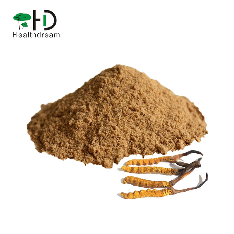 Pure Cordyceps Powder, 100% Fermented Cordyceps sinensis powder