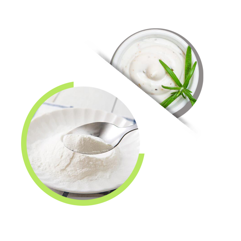 Home made probiotics yogurt cultures starter DIY yogurt with probiotics 