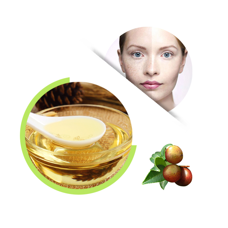 Cosmetics Grade Camellia Seed Oil With Low Price