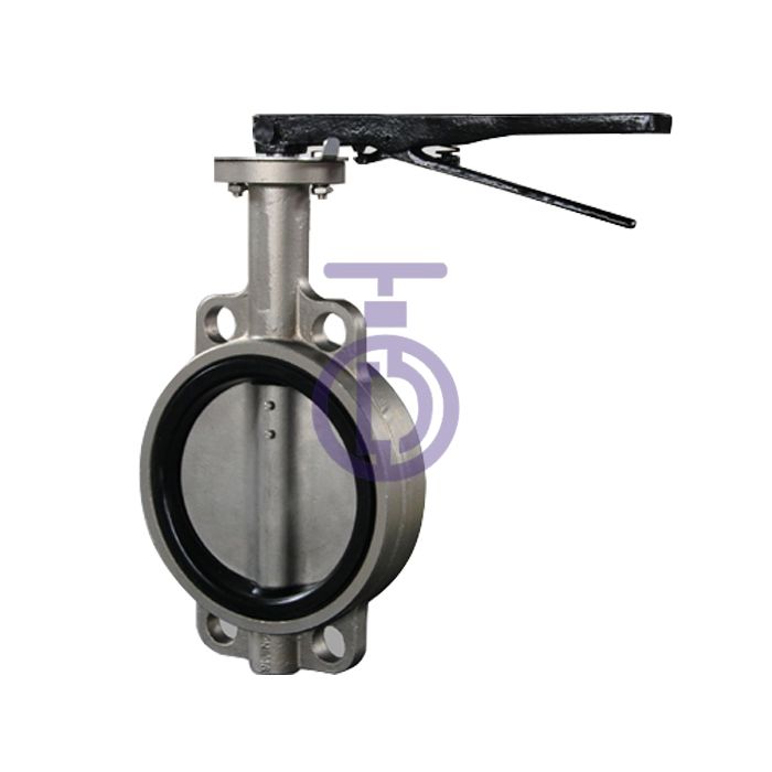 Ductile Iron Stainless Butterfly Valve CBF01-TA11