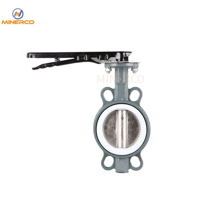 Corrosion Resistance PTFE Seat Wafer Stainless Steel Butterfly Valve
