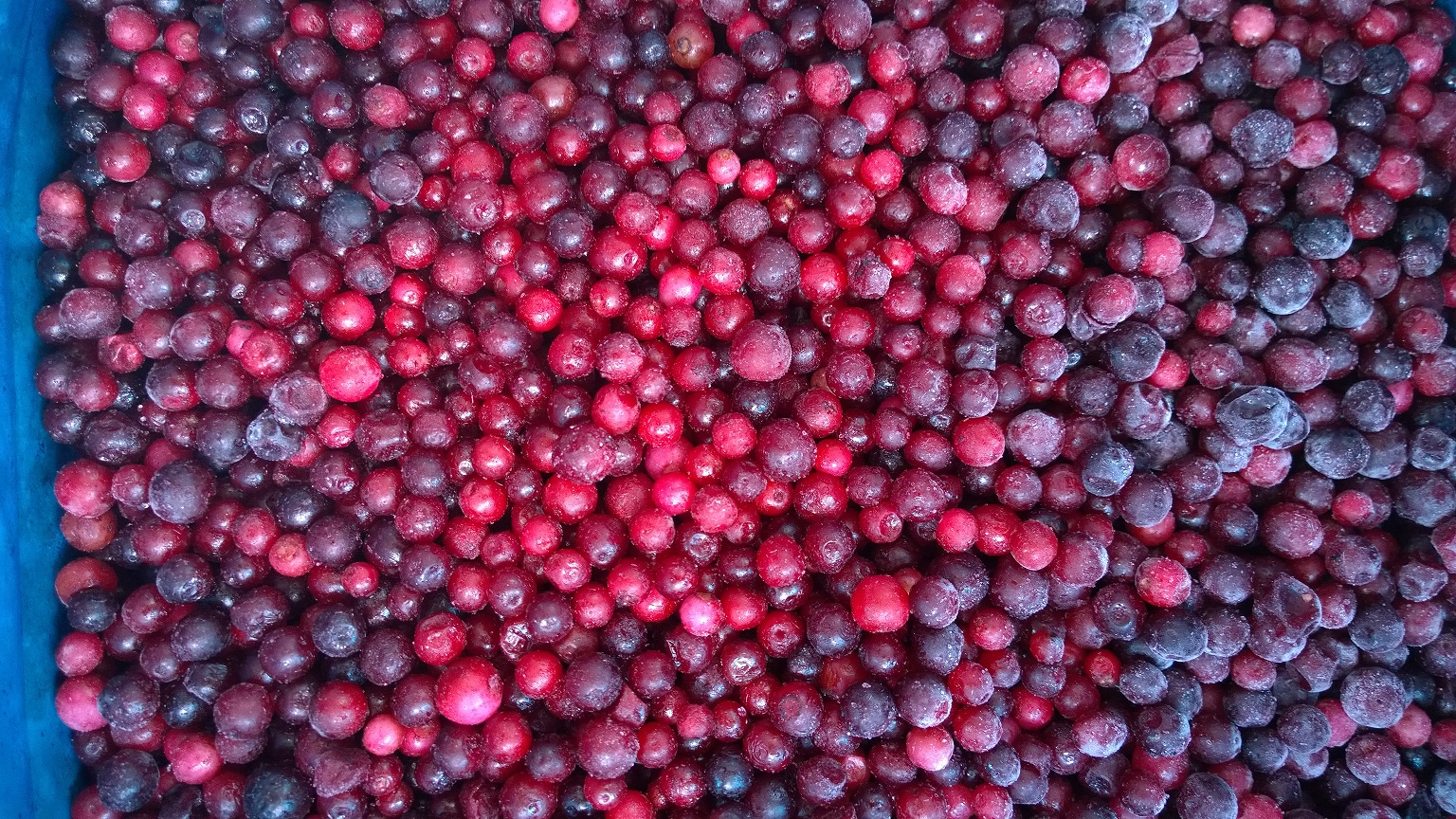 frozen lingonberry