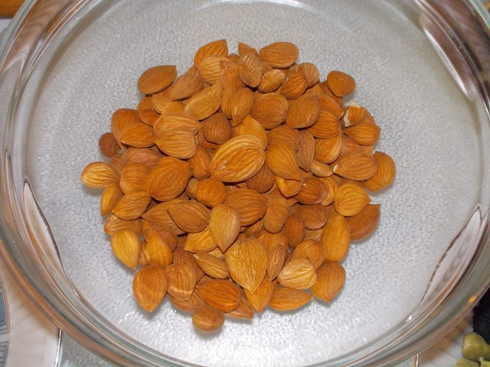  Dried Apricot Fruit 