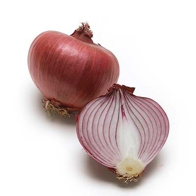 RED ONIONS FOR SALE 