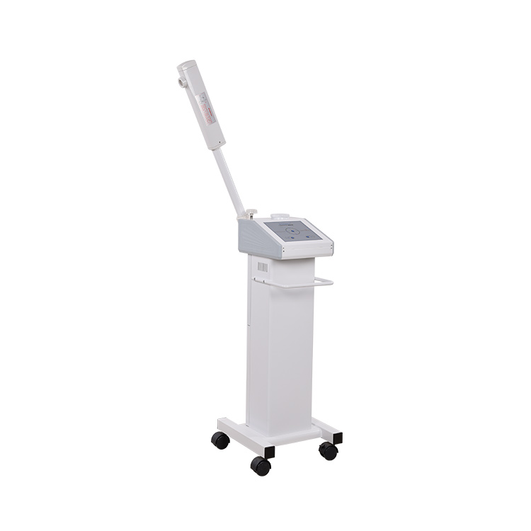 Multifunction Cheap Hot And Cold Ozone Deep Cleaning Salon Beauty Facial Steamer Machine Professional Private Label Price 