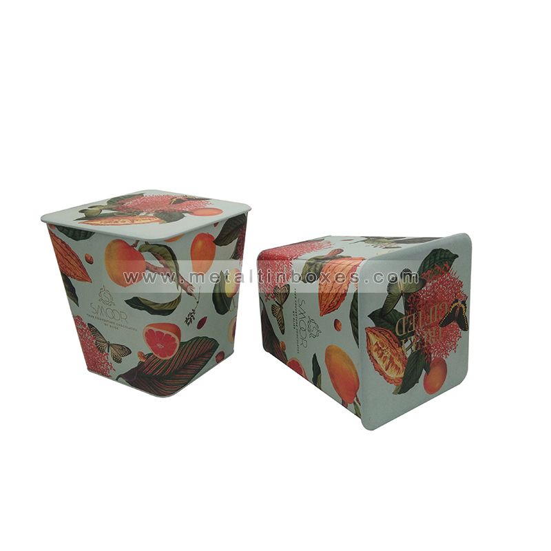Custom food Grade biscuits packaging boxes tin cans