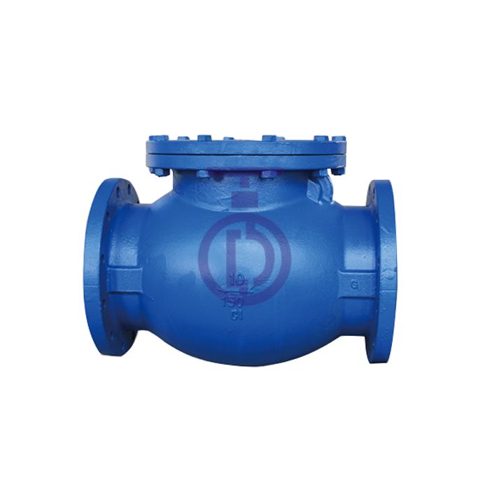 Swing Check Valve Outside Lever and Weight or Spring