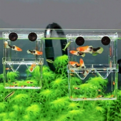 Fish Breeding Tanks