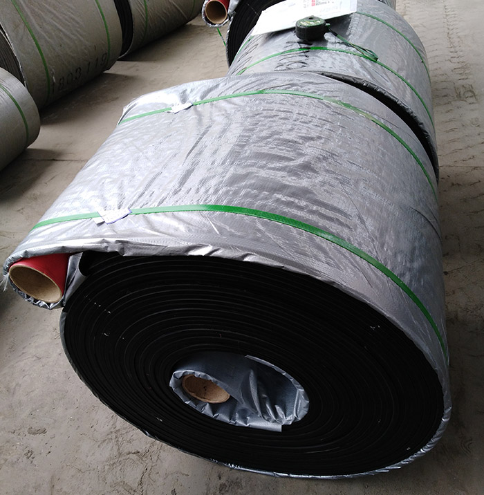 Heat Resistant Fabric Conveyor Belt