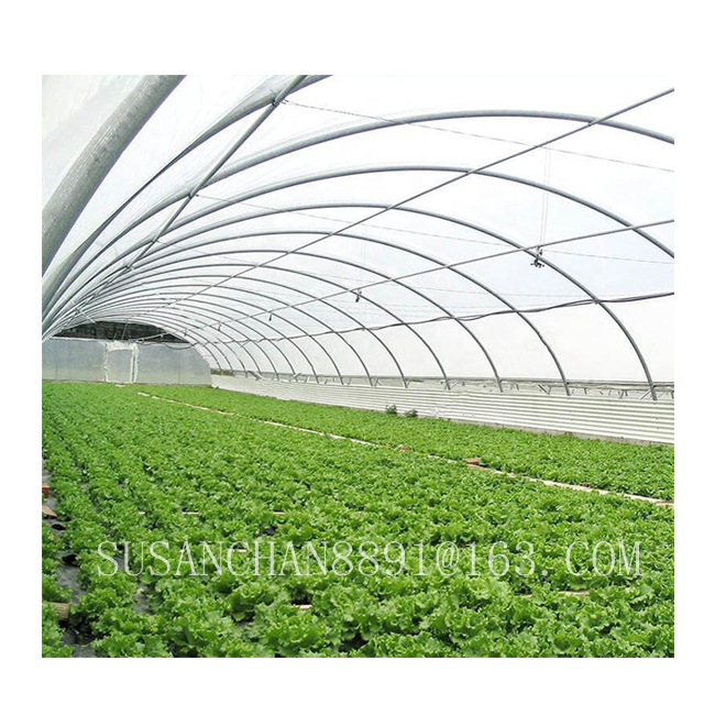 Single / multi-span agricultural greenhouses with PE film or PC board
