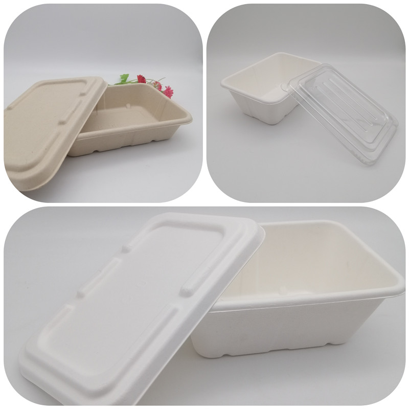 Newest Disposable Biodegradable Eco Sugarcane Bagasse Fast Food Container Tray 