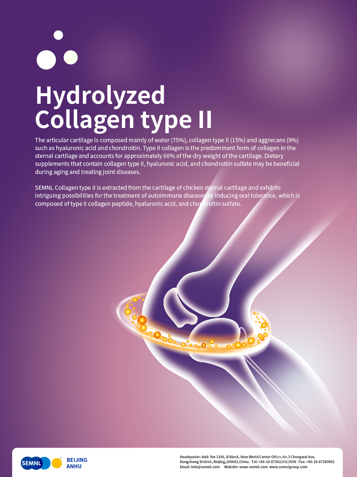 Hydrolyzed Collagen Type II
