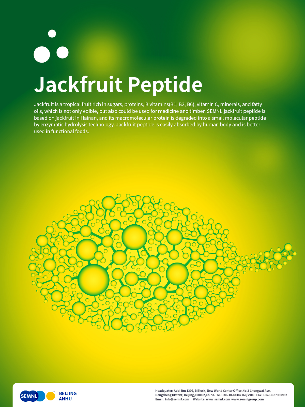 Jackfruit Peptide Anti aging facial 