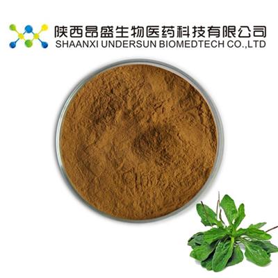 Organic Asiatic Plantain Herb Extract