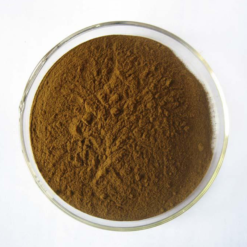 Agaricus blazei Extract 50% Polysaccharides
