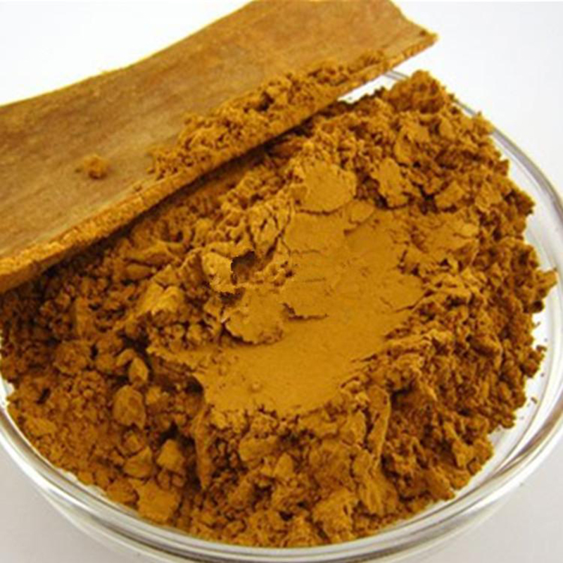 Cinnamon Bark Extract 30% Polyphenol