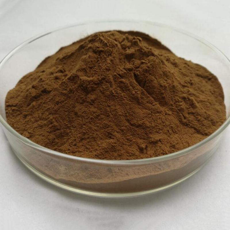 Ganoderma lucidum(Reishi) Extract 50% Polysaccharides