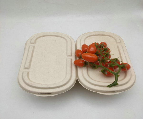 disposable sugarcane bagasse food container
