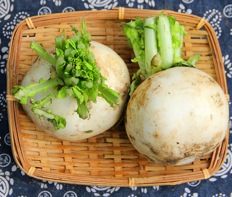 Excellent Quality Seeds Crisp High Yield Round White Radish Seeds