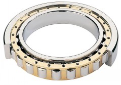 Single row cylindrical roller  bearing N1880  400*500*46mm