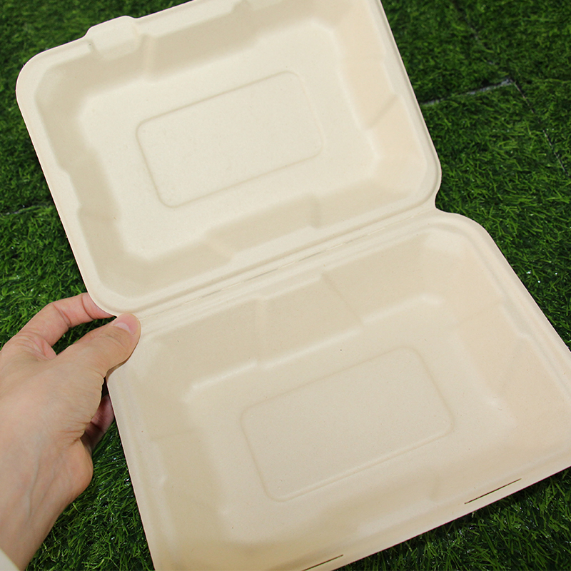 9x6 Inch Sugarcane Bagasse Biodegradable Fast Food Takeout Clamshell Bento Box Food Container