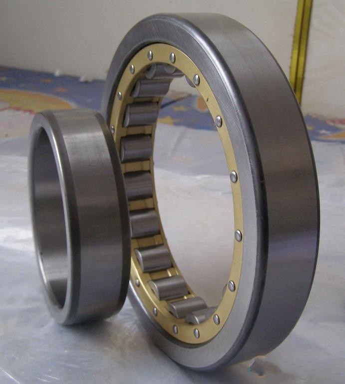 Single row cylindrical roller  bearing N18/600  600*730*60mm  
