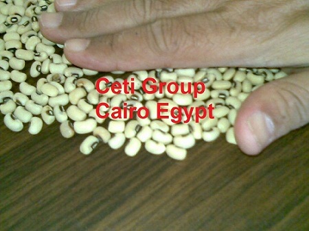Фасоль с черным глазком Египет black eye beans