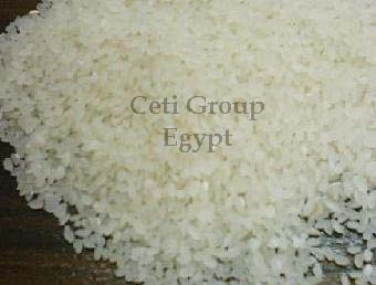White Egyptian rice