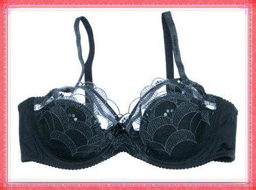 2012 new design lace sexy lady bra underwear 