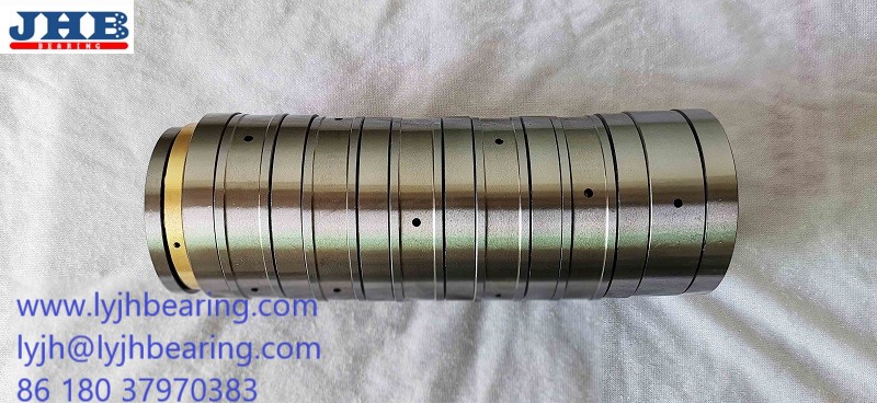 f-52548.t6ar precision roller bearing for pig granulate form extruder