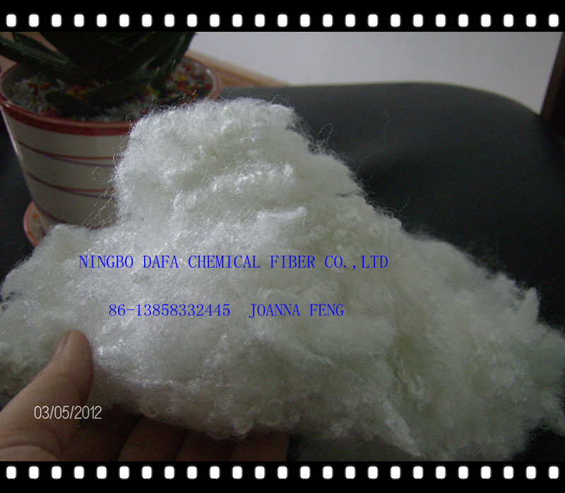 sell hollow recycled staple fiber 
