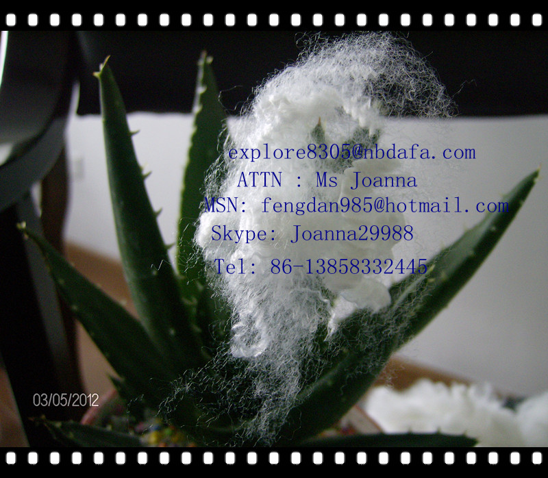 sell recycled polyester staple fiber 