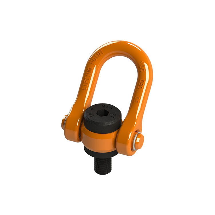 Swivel Hoist Ring With Chinese Supplier High Precision Mold Parts 