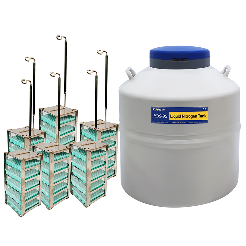 Laboratory liquid nitrogen storage tank factory direct delivery